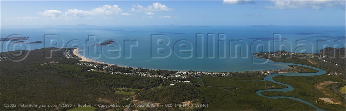 Peter Bellingham Photography Seafoth - Cape Hilsborough National Park - QLD (PBH4 00 18846)